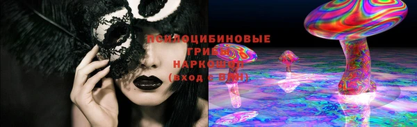 крисы Абдулино