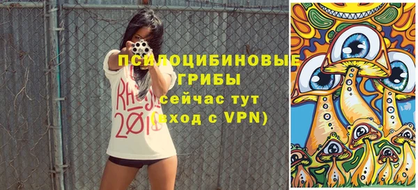 крисы Абдулино