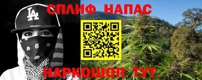 молекула духа Ставрополь