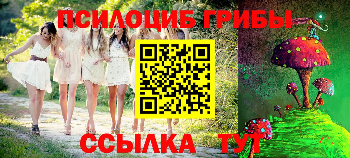Галлюциногенные грибы прущие грибы  Вход с VPN  Канск 