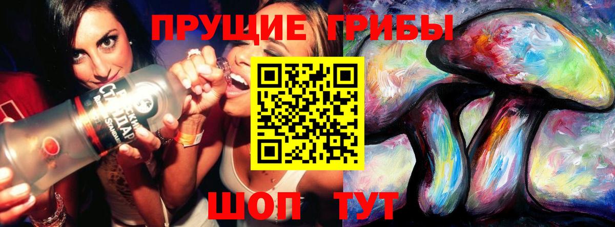 Галлюциногенные грибы Psilocybe Канск
